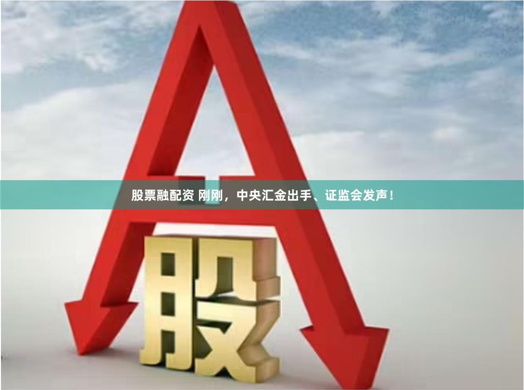 股票融配资 刚刚，中央汇金出手、证监会发声！