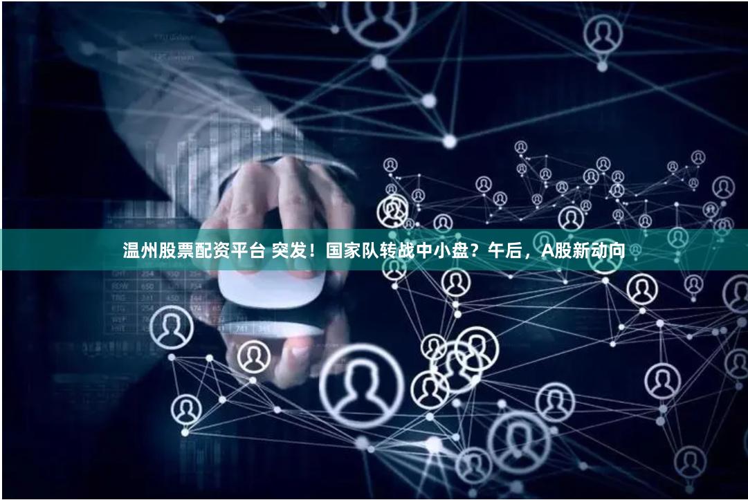 温州股票配资平台 突发！国家队转战中小盘？午后，A股新动向
