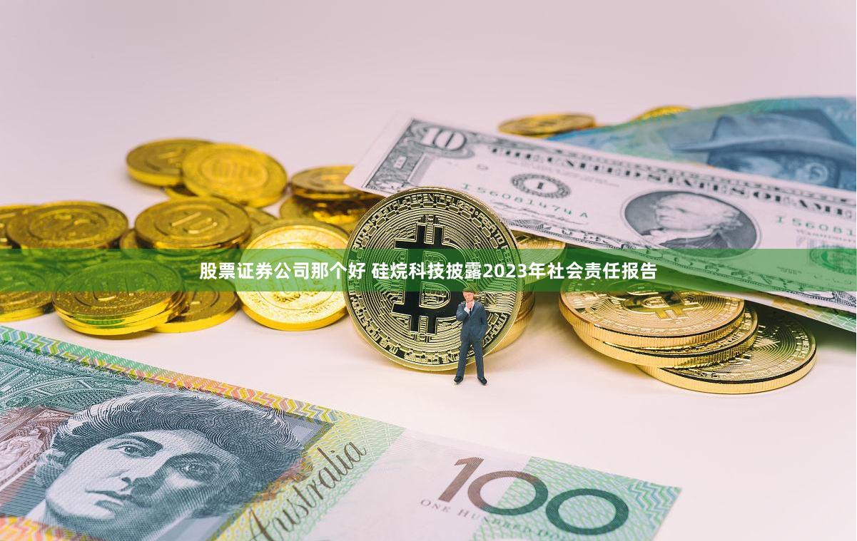 股票证券公司那个好 硅烷科技披露2023年社会责任报告
