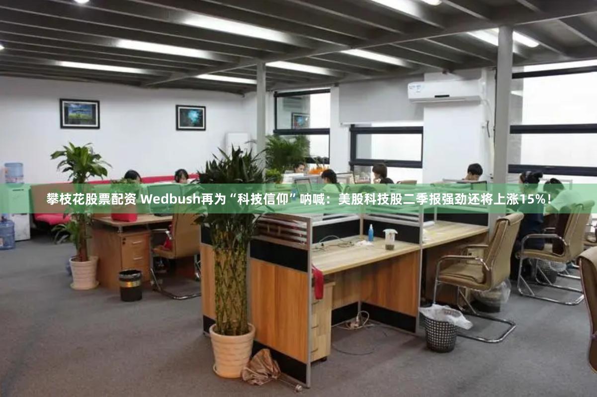 攀枝花股票配资 Wedbush再为“科技信仰”呐喊：美股科技股二季报强劲还将上涨15%！