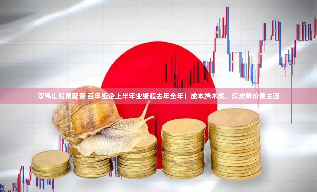 双鸭山股票配资 百年纸企上半年业绩超去年全年！成本端木浆、煤炭降价是主因