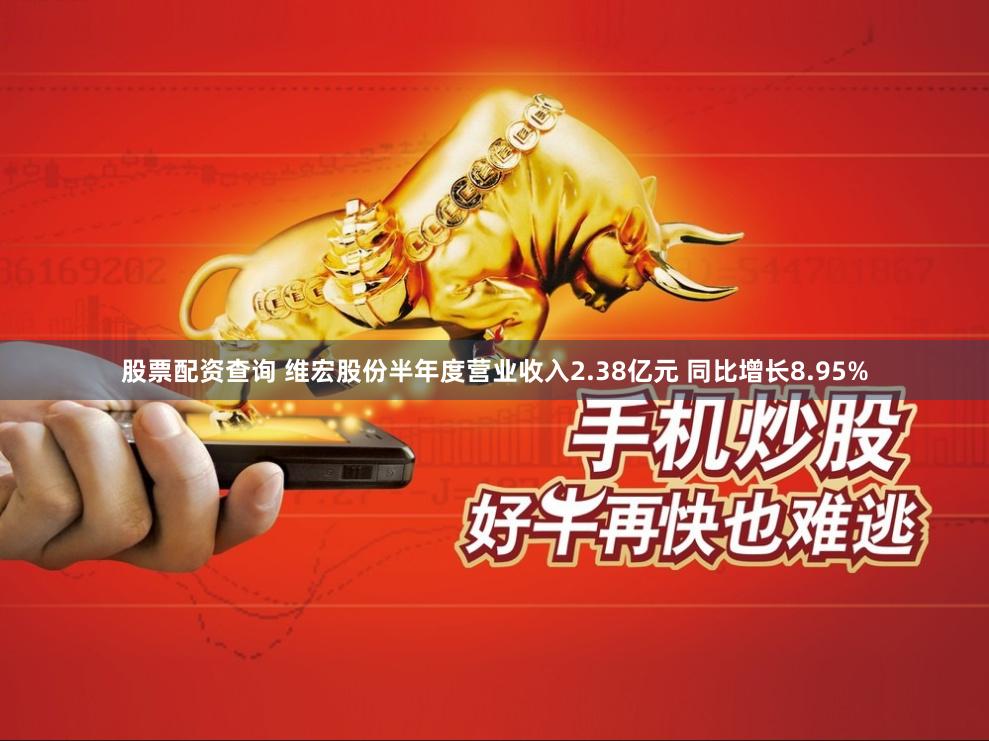 股票配资查询 维宏股份半年度营业收入2.38亿元 同比增长8.95%