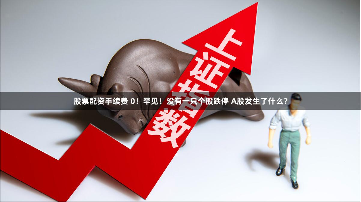股票配资手续费 0！罕见！没有一只个股跌停 A股发生了什么？