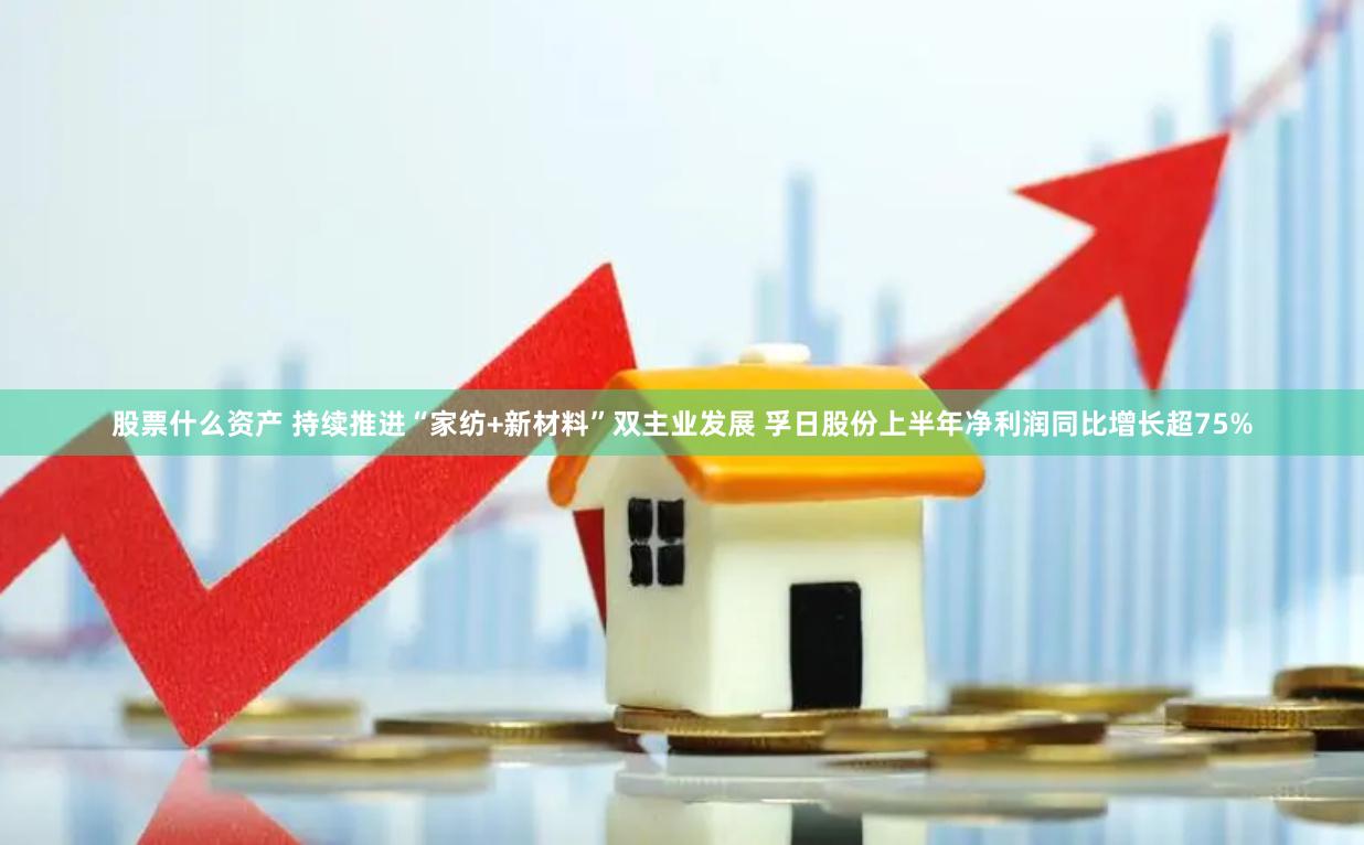 股票什么资产 持续推进“家纺+新材料”双主业发展 孚日股份上半年净利润同比增长超75%