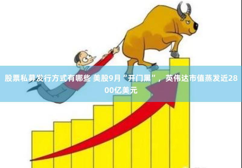 股票私募发行方式有哪些 美股9月“开门黑”，英伟达市值蒸发近2800亿美元