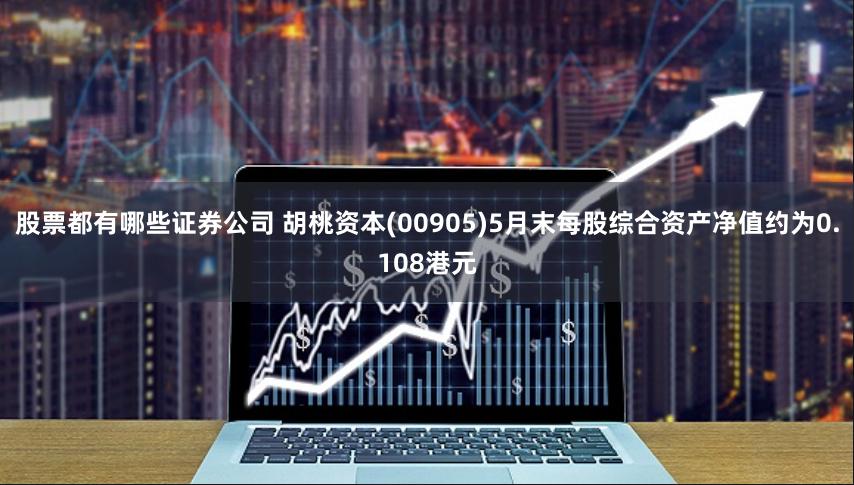 股票都有哪些证券公司 胡桃资本(00905)5月末每股综合资产净值约为0.108港元
